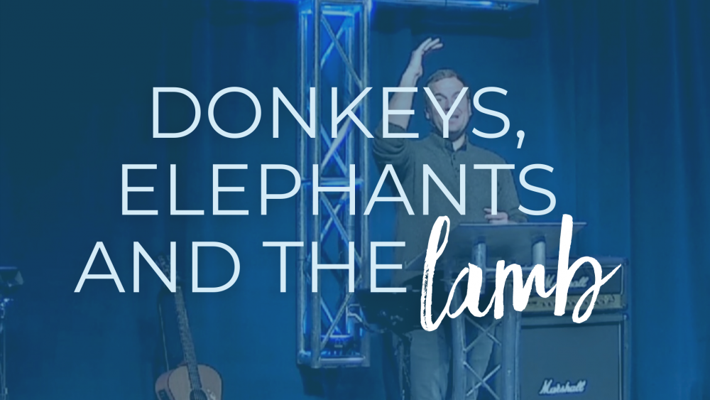 Donkeys, Elephants and The Lamb