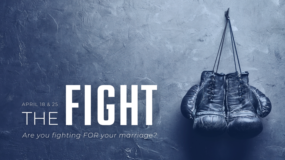 The Fight