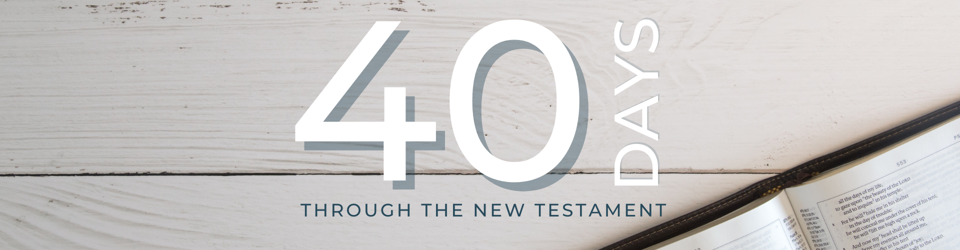 40 Days Through NT